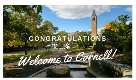 1554864460687112.png blob.png