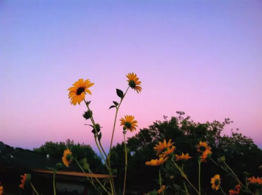 1554962952337715.png blob.png