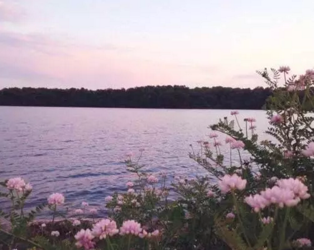 1554962962846840.png blob.png